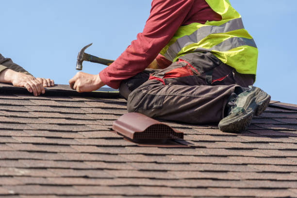Best Roof Gutter Cleaning  in Albion, MI
