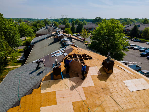 Best Storm Damage Roof Repair  in Albion, MI