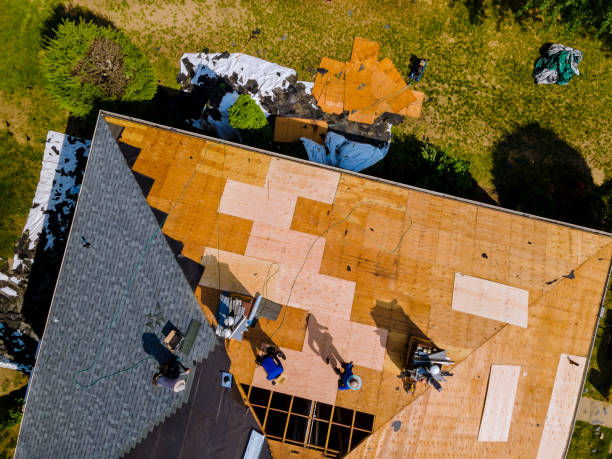 Best Roof Restoration Services  in Albion, MI