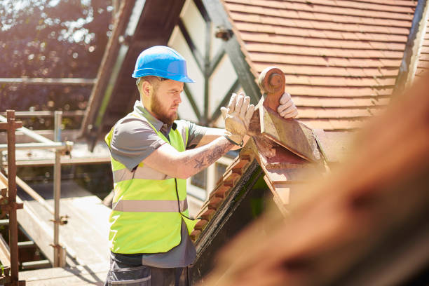 Best Residential Roofing Contractor  in Albion, MI