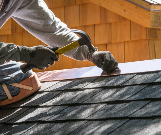Best Roof Repair Services  in Albion, MI